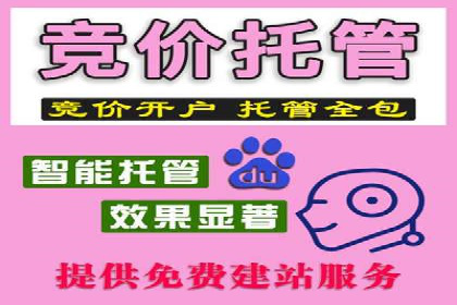 掌握SEM竞价技巧：从案例看效果提升